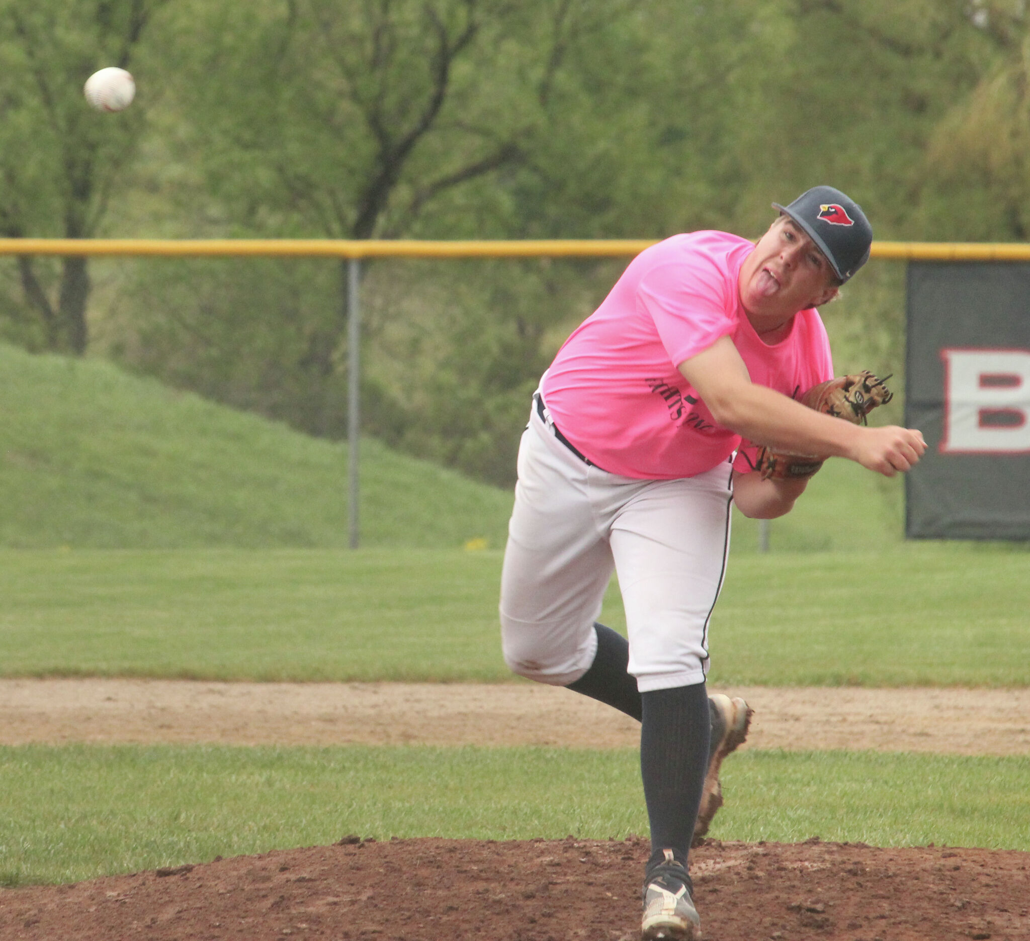 Big Rapids baseball sweeps Reed City