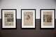 A view of front pages from the Dallas Times Herald after President Kennedy’s assassination “On Assignment: Dallas Times Herald 1963” exhibit at the Sixth Floor Museum on Wednesday, May 20, 2026, in Dallas.