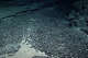 This photo provided by NOAA shows a field of manganese nodules in deep waters off of Hawaii during the Hohonu Moana (deep water) expedition in 2015. (NOAA Office of Ocean Exploration and Research via AP)