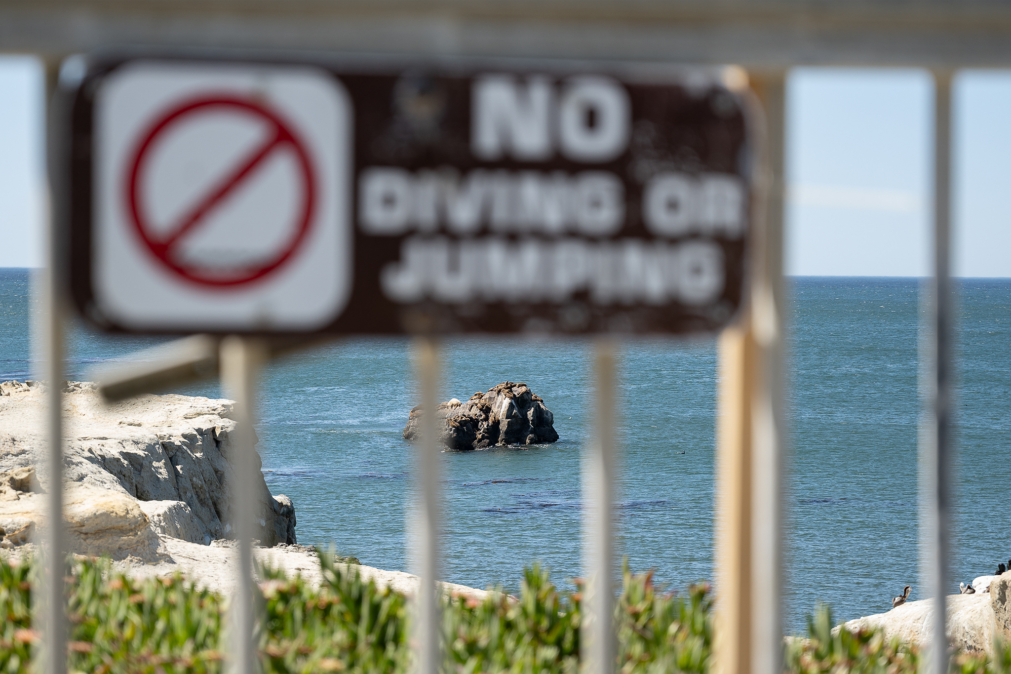 Santa Cruz's deadly 'Toilet Bowl' is a 'magnet' for thrill seekers