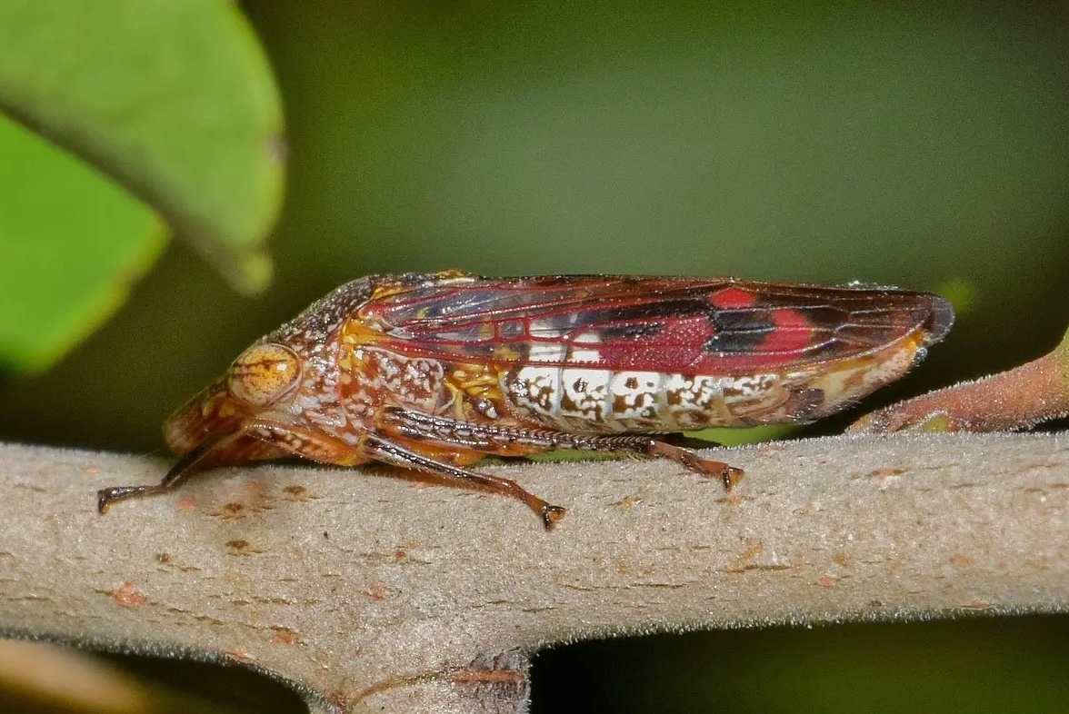 https://s.hdnux.com/photos/01/66/30/47/31033804/3/rawImage.jpg