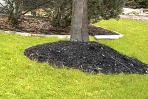 Hat Ihr neues Haus Mulchvulkane? So beheben Sie sie.