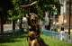 A statue is photographed by French artist Didier Audrat in Paris, Wednesday, May 27, 2026, honoring the memory of the abolition of slavery, depicting Solitude, the daughter of an African slave who was raped by a sailor aboard the ship transporting her to the Caribbean, holding the proclamation of Louis Delgres, an anti-slavery resistance leader calling for resistance and struggle.
