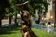 A statue is photographed by French artist Didier Audrat in Paris, Wednesday, May 27, 2026, honoring the memory of the abolition of slavery, depicting Solitude, the daughter of an African slave who was raped by a sailor aboard the ship transporting her to the Caribbean, holding the proclamation of Louis Delgres, an anti-slavery resistance leader calling for resistance and struggle.