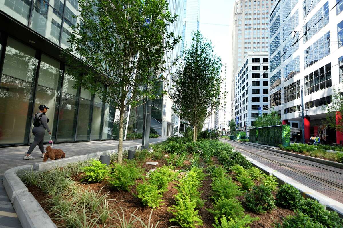 Trees and landscaping are some of the features added by Downtown Houston along the new permanent car-free Main Street Promenade ahead of the World Cup in Houston Friday, May 29, 2026.