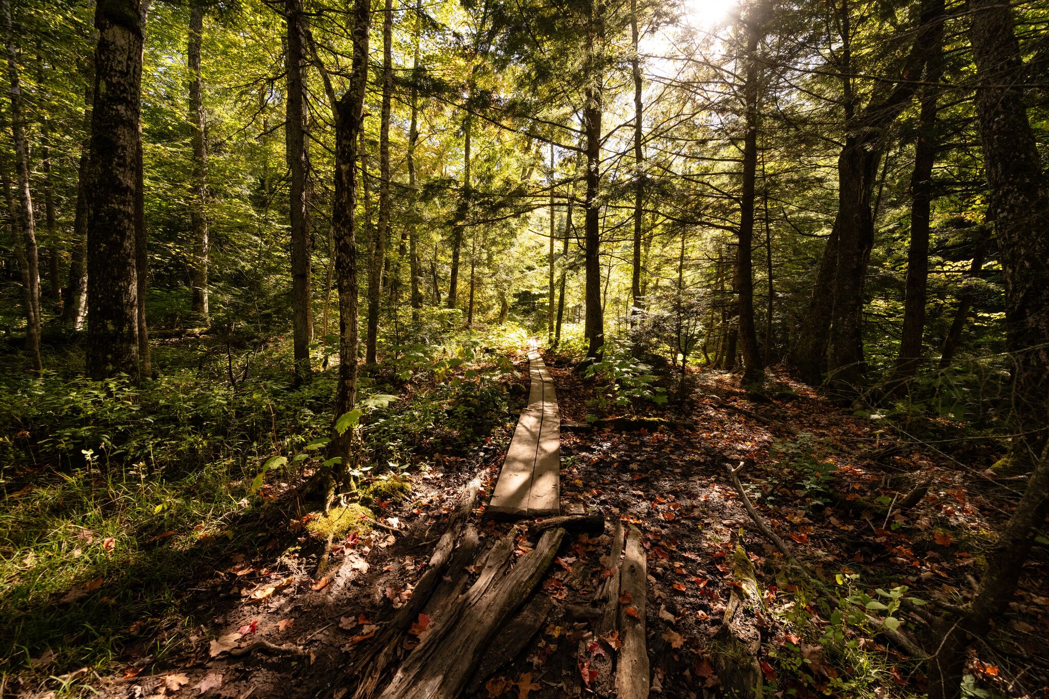 How Michigan landowners can qualify for a property tax break