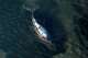 FILE - The humpback whale lays in a washed-out tub off the island of Poel, Germany, April 22, 2026. (Philip Dulian/dpa via AP, File)