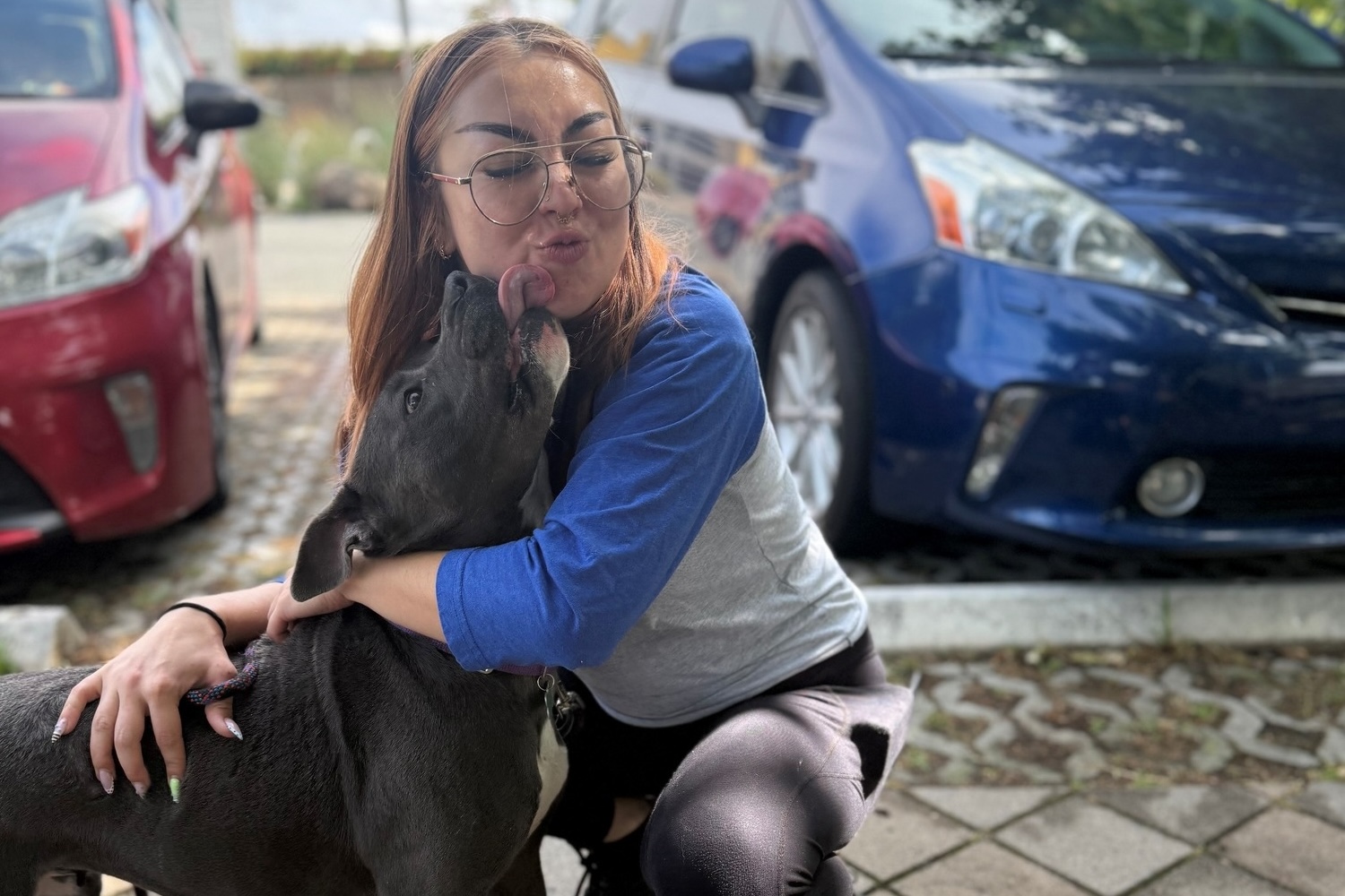 Bay Area shelters rush to recover dogs from Miranda’s Rescue