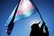 FILE - A protester dressed as the Statue of Liberty waves a transgender pride flag outside the Supreme Court in Washington, on Jan. 13, 2026, as it hears arguments over state laws barring transgender girls and women from playing on school athletic teams.