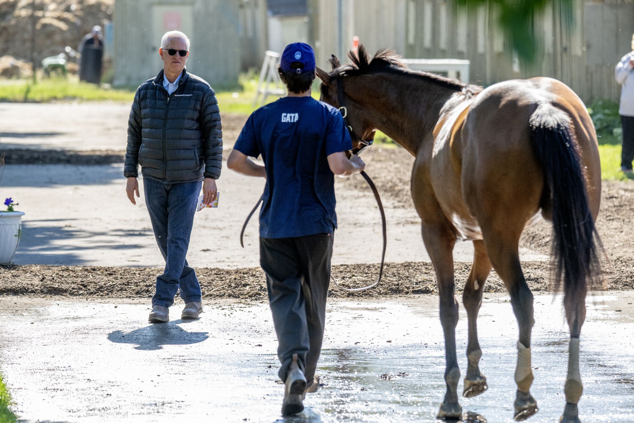 Todd Pletcher aims for 5th Belmont win with Renegade, Powershift
