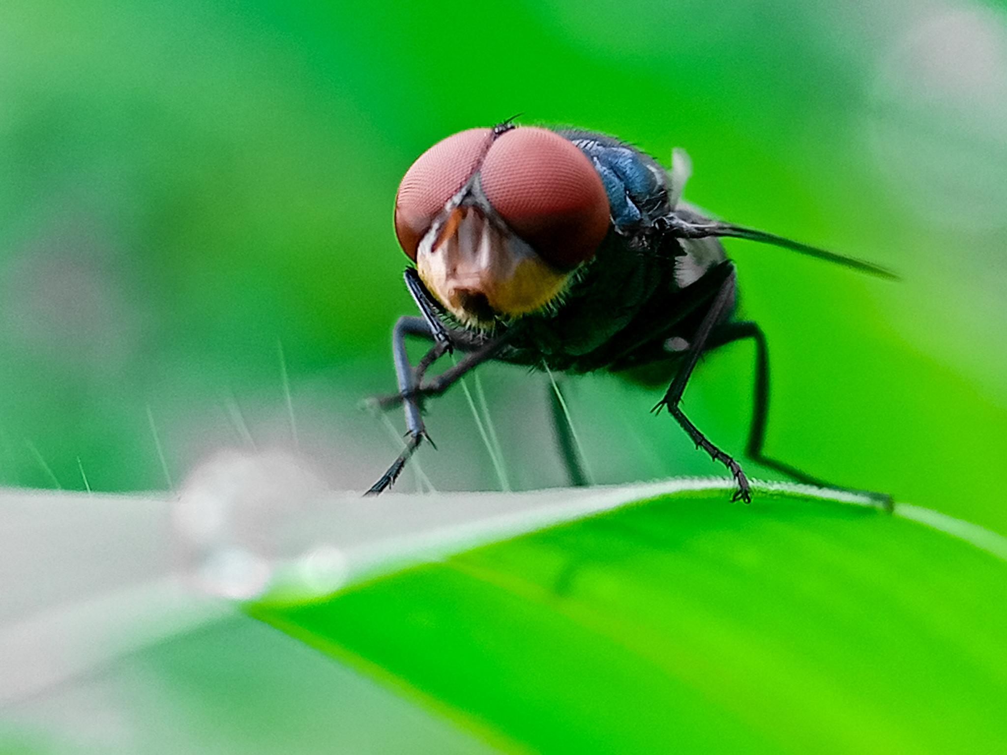 https://s.hdnux.com/photos/01/66/37/16/31060905/3/rawImage.jpg