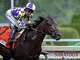 El jockey José Ortiz guía al inglés hacia la victoria en el Woody Stephens en el hipódromo de Saratoga el sábado en Saratoga Springs.