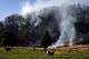 FILE - Cows graze as a wildfire burns in Soacha, near Bogota, Colombia, Aug. 14, 2023.
