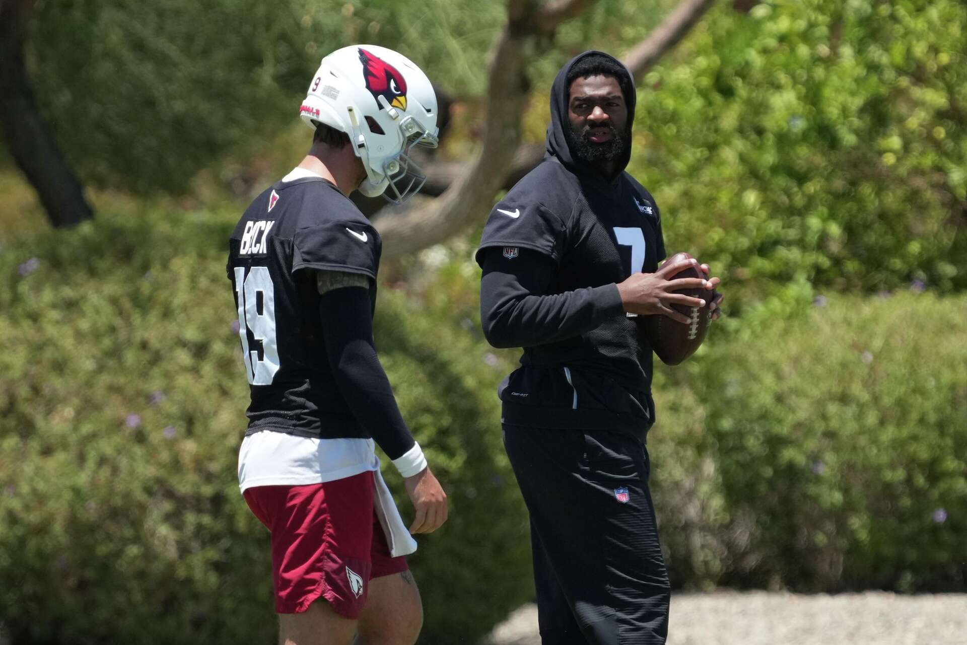 Rookie QB Carson Beck hard at work for Arizona Cardinals in prep