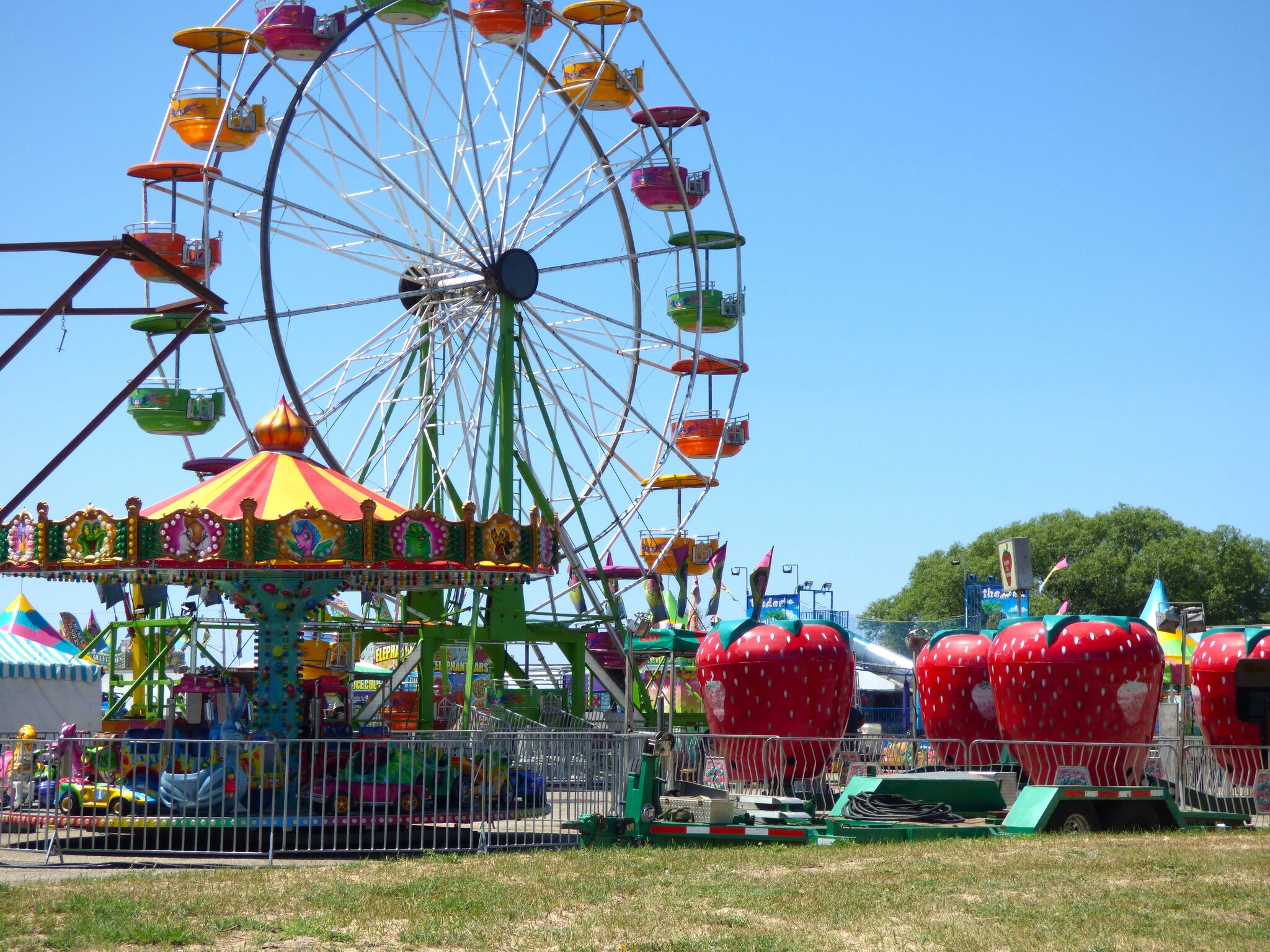 Kids can enjoy a petting zoo, carnival rides and gel ball tag at the Manistee Forest Festival.