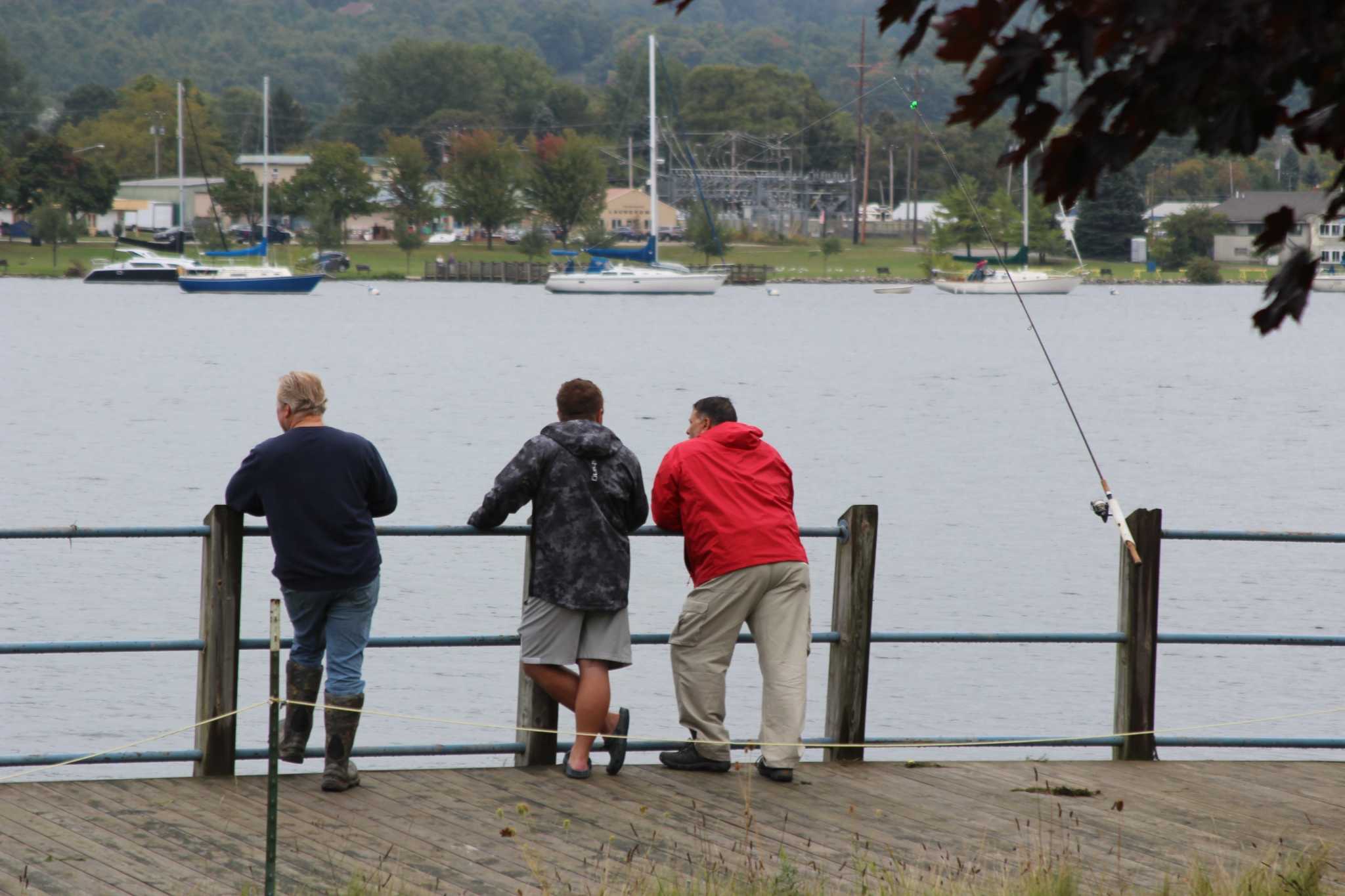 Chinook salmon moving in to feed in Frankfort