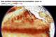 Las temperaturas de la superficie del mar en el Pacífico ecuatorial oriental fueron 0,7 grados Celsius superiores a lo normal a principios de julio, por encima del umbral de El Niño.