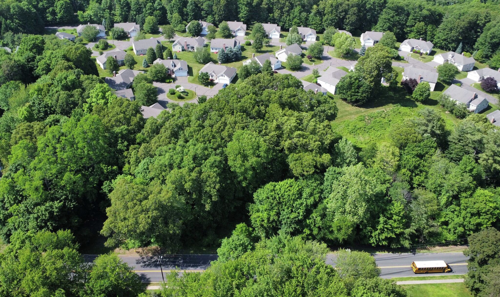 CT real estate agent says scammers tried to sell his Manchester land