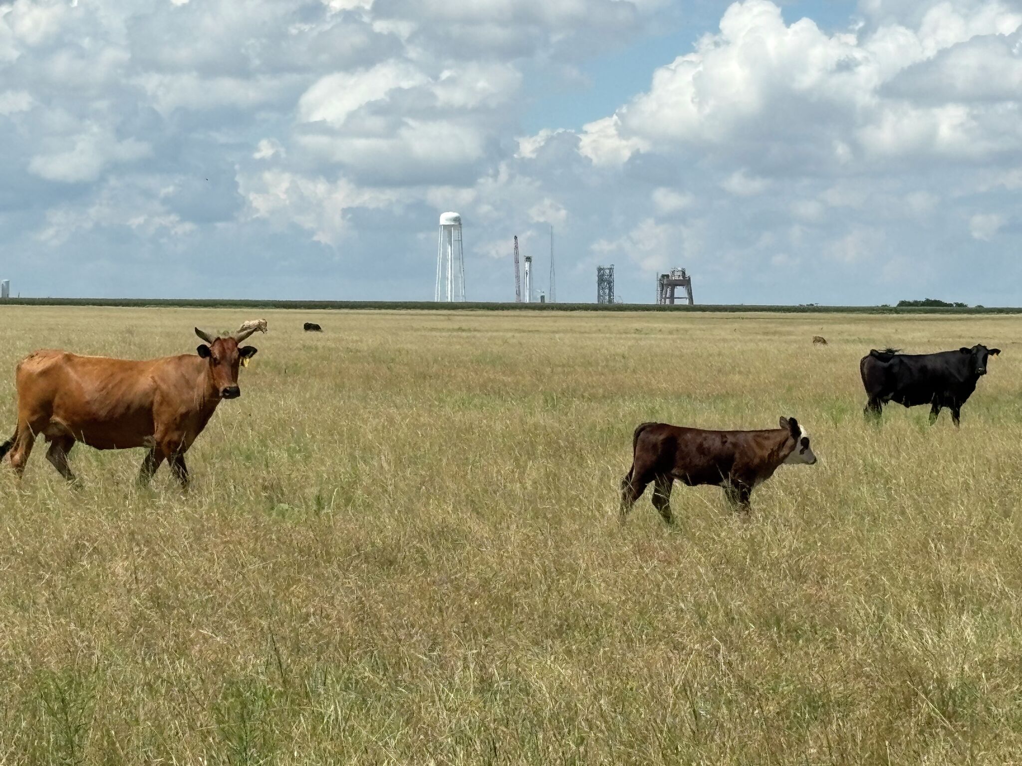 Central Texas town overpumping water amid ramp-up of SpaceX test fires