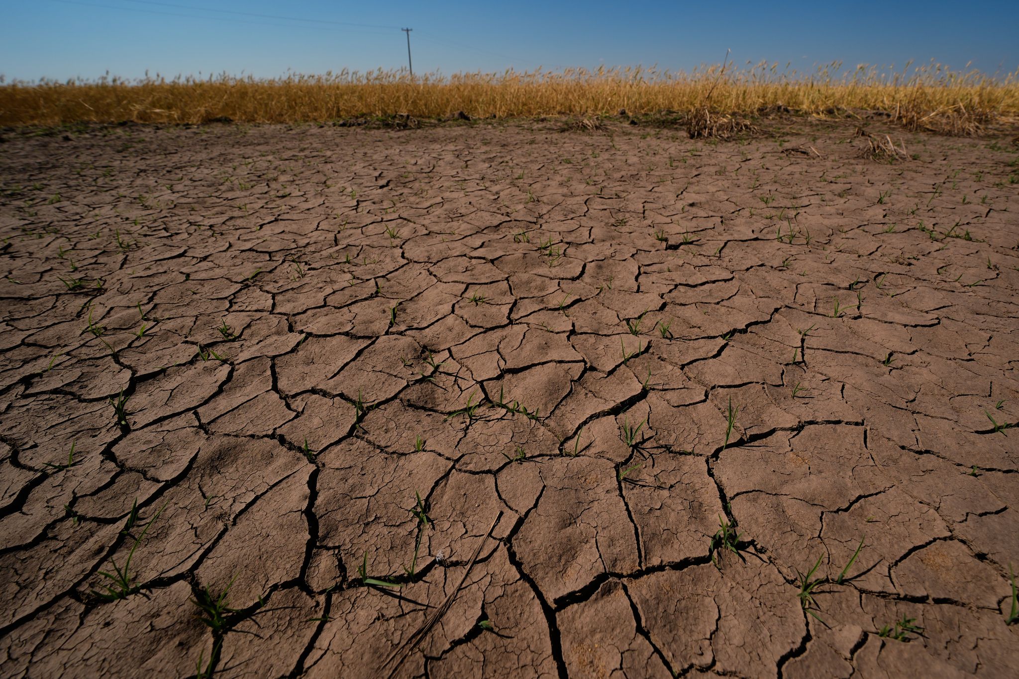 El Niño ya está aquí y los científicos temen que será enorme, devastador y costoso