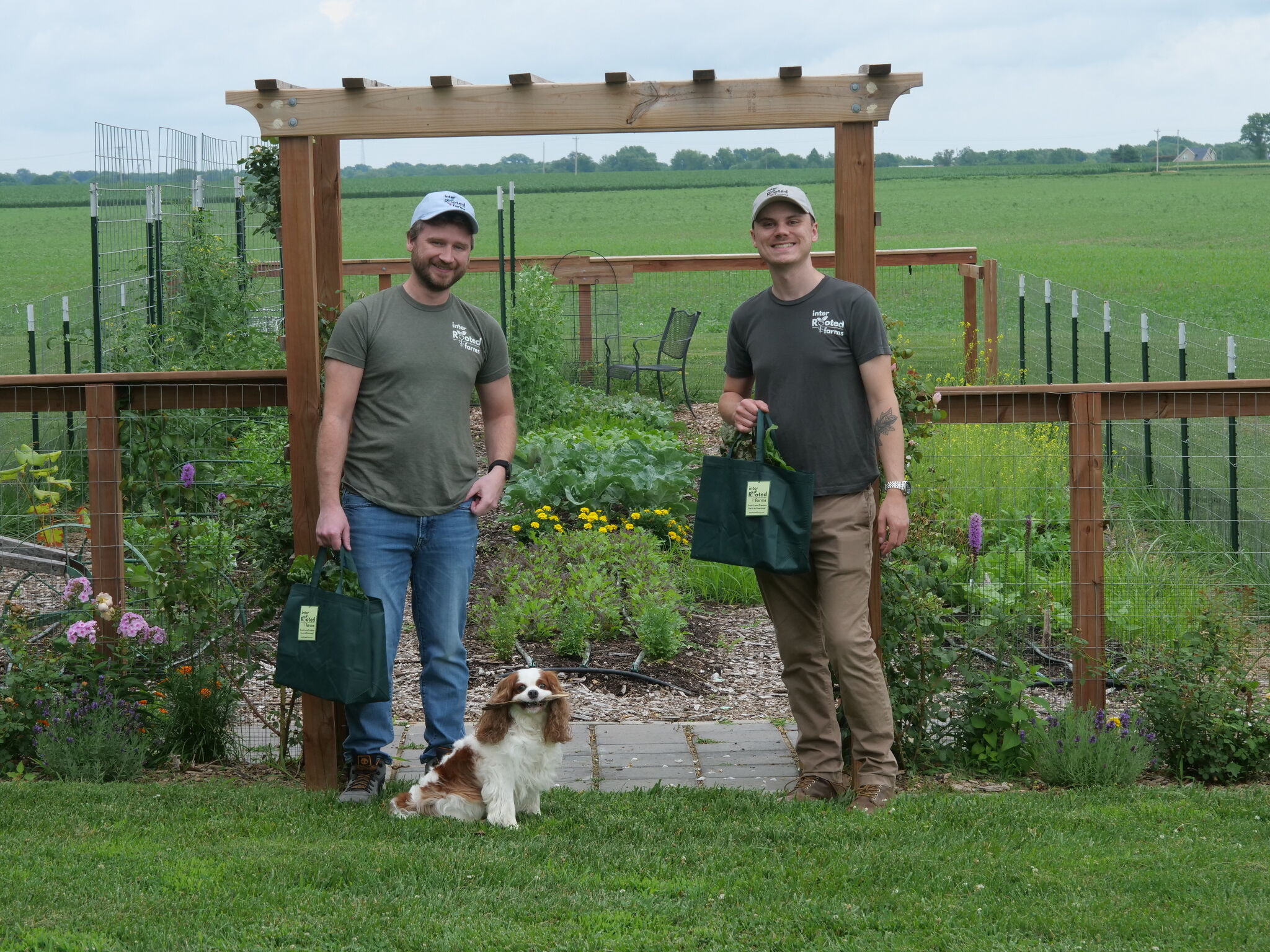 Edwardsville farm delivery service brings local foods to doorsteps