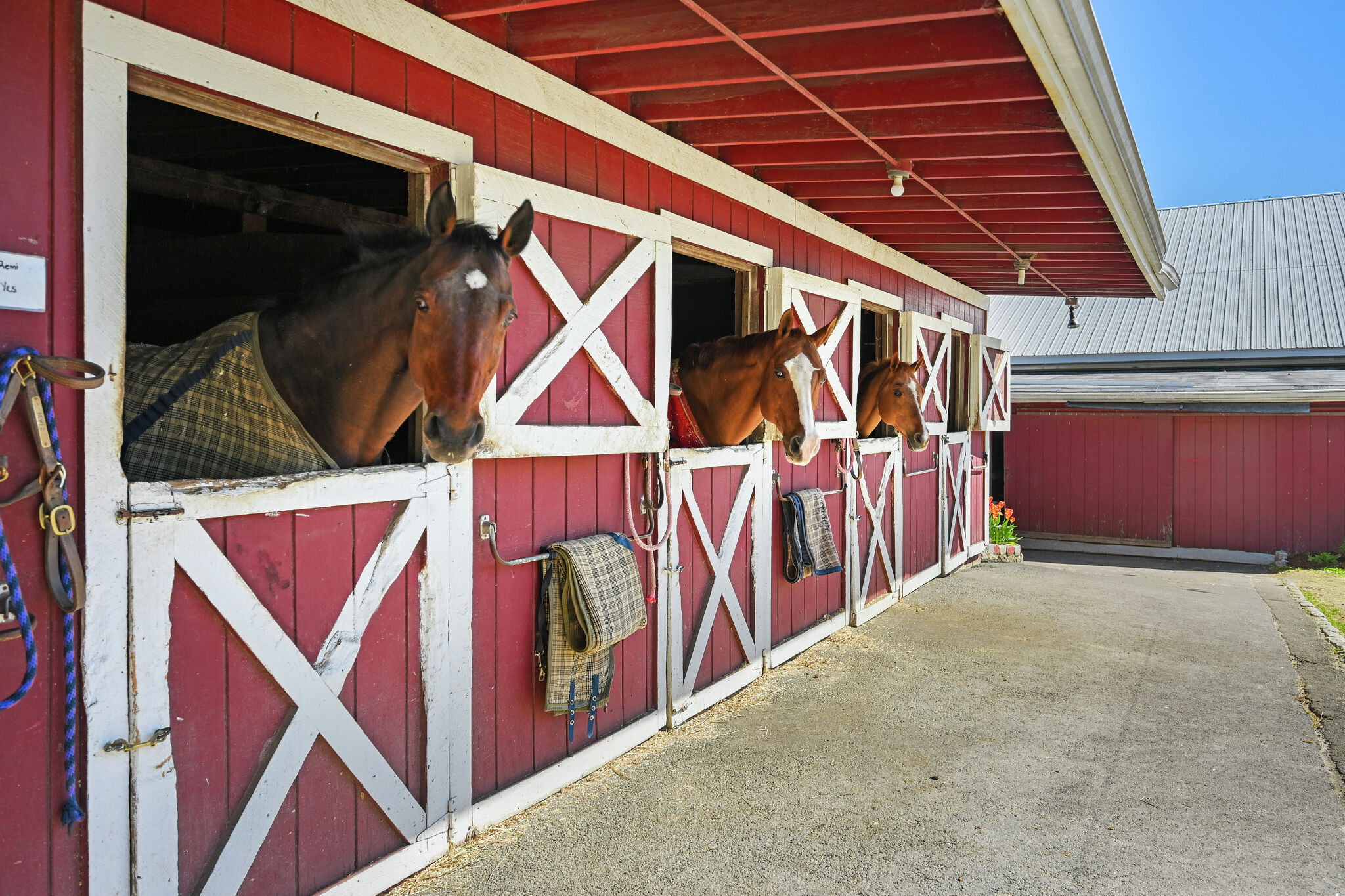 A Norwalk horse farm tied to SHU’s equestrian team lists for $4.5M