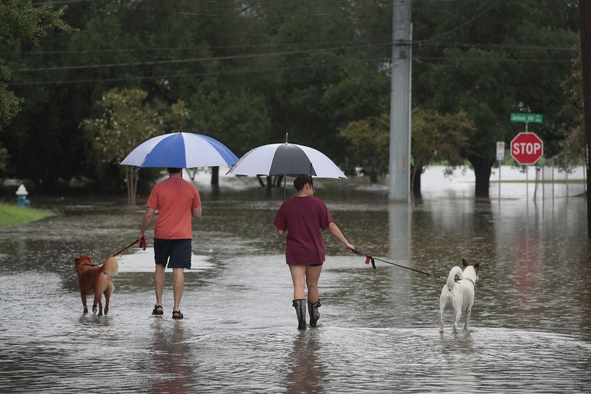 LACS urges pet owners to prepare for flooding, severe weather