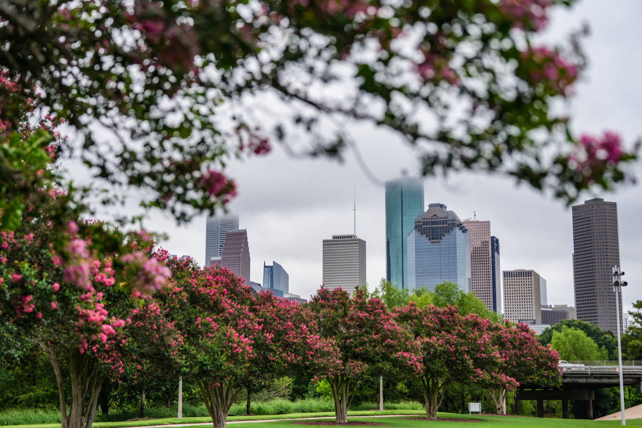 It’s historically dry in Houston: Here’s when rain could return.