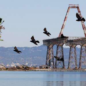S.F.’s long-stalled Candlestick Point project finally breaks ground on 7,200 homes after 25 years