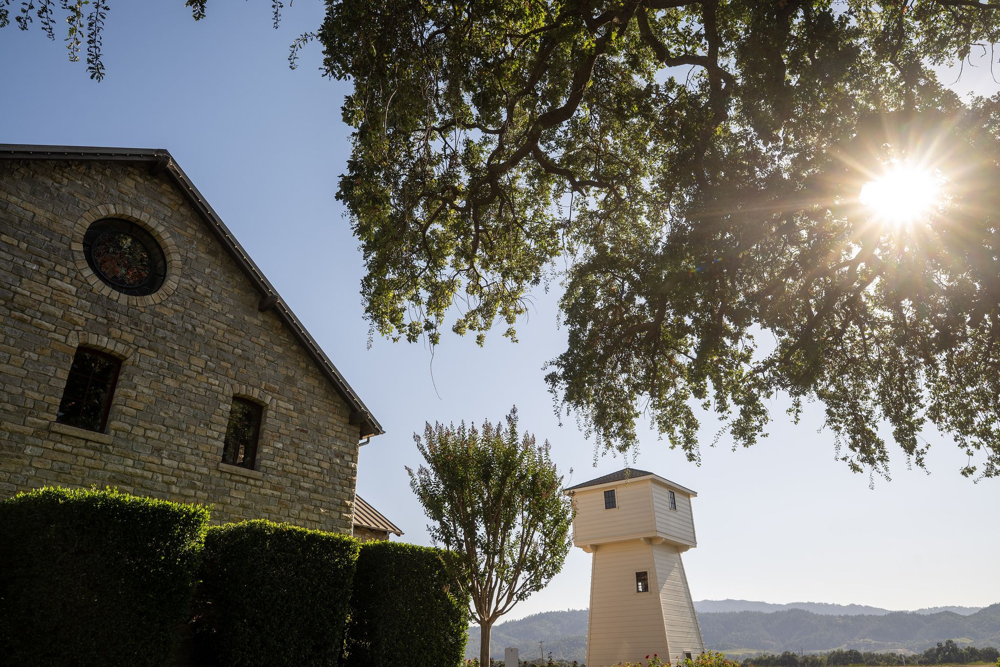 sfchronicle.com - Jess Lander - Why this classic California winery is making a new kind of wine for first time in over 50 years