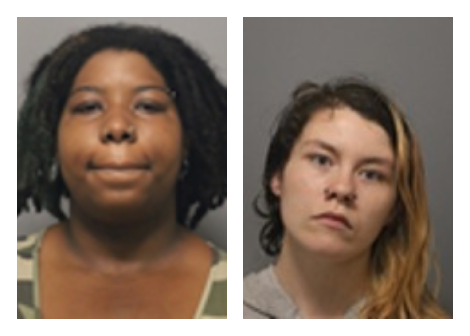 Wallingford residents left pets for days without food or water: Cops