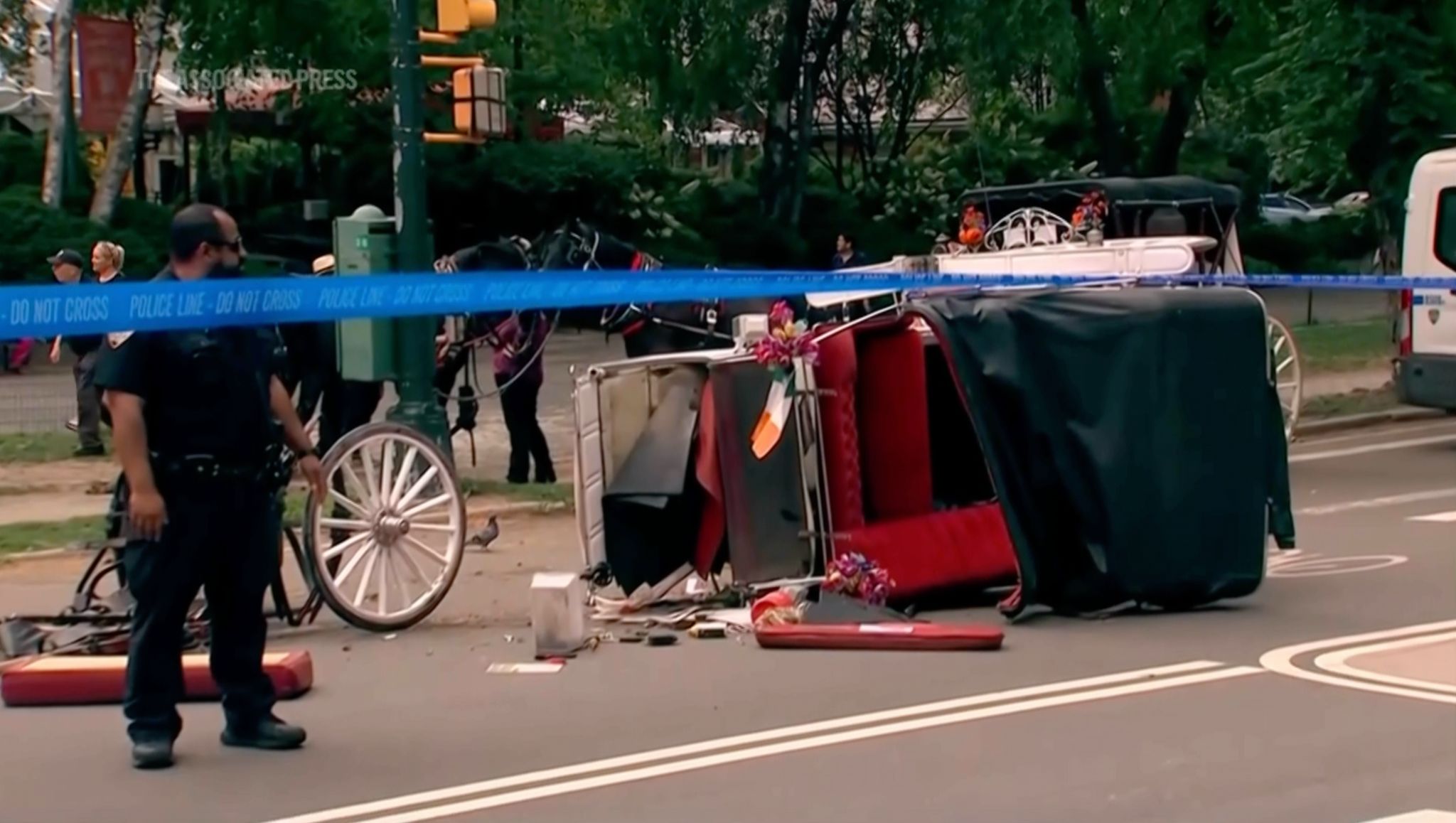 Horse-drawn carriage rides in New York on hold after teen tourist's death