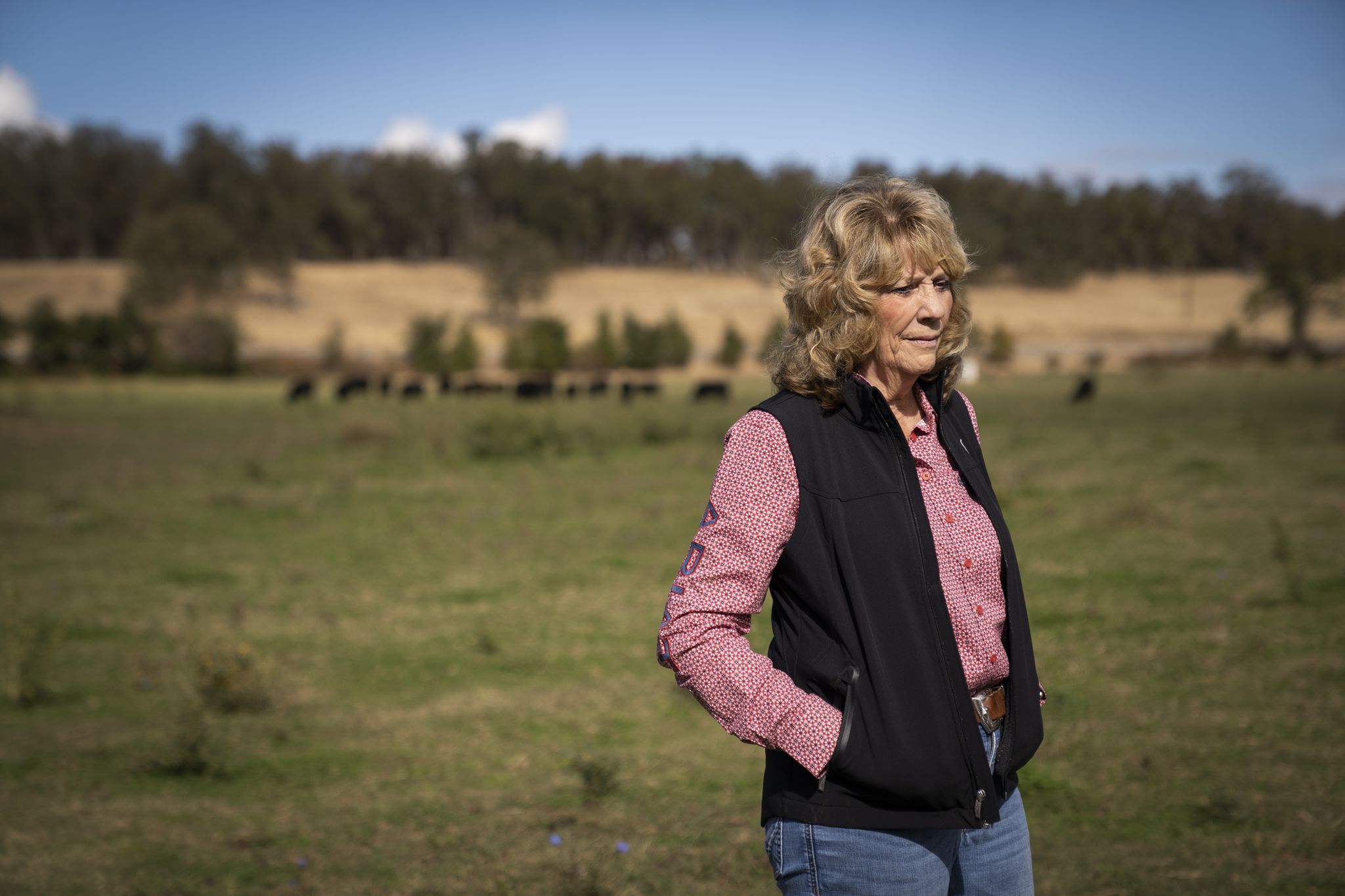 sfchronicle.com - Raheem Hosseini - In one of California's Trumpiest counties, the MAGA backlash has begun