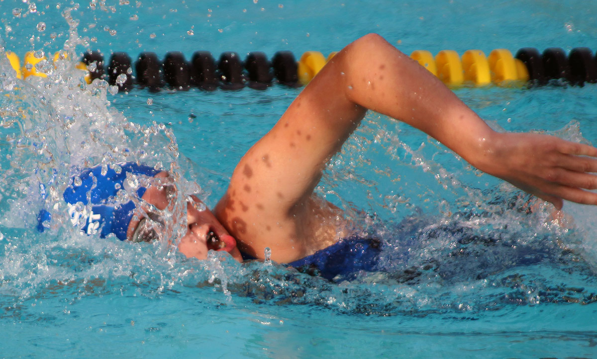 Summers Port Sharks swim past Sunset Hills
