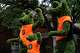 Bear-themed topiaries are dressed with Neterland soccer team t-shirts as thousands of fans take part in the iconic Oranje fan walk for Dutch supporters before the team’s match against Sweden in the FIFA World Cup in Houston, Saturday, June 20, 2026.