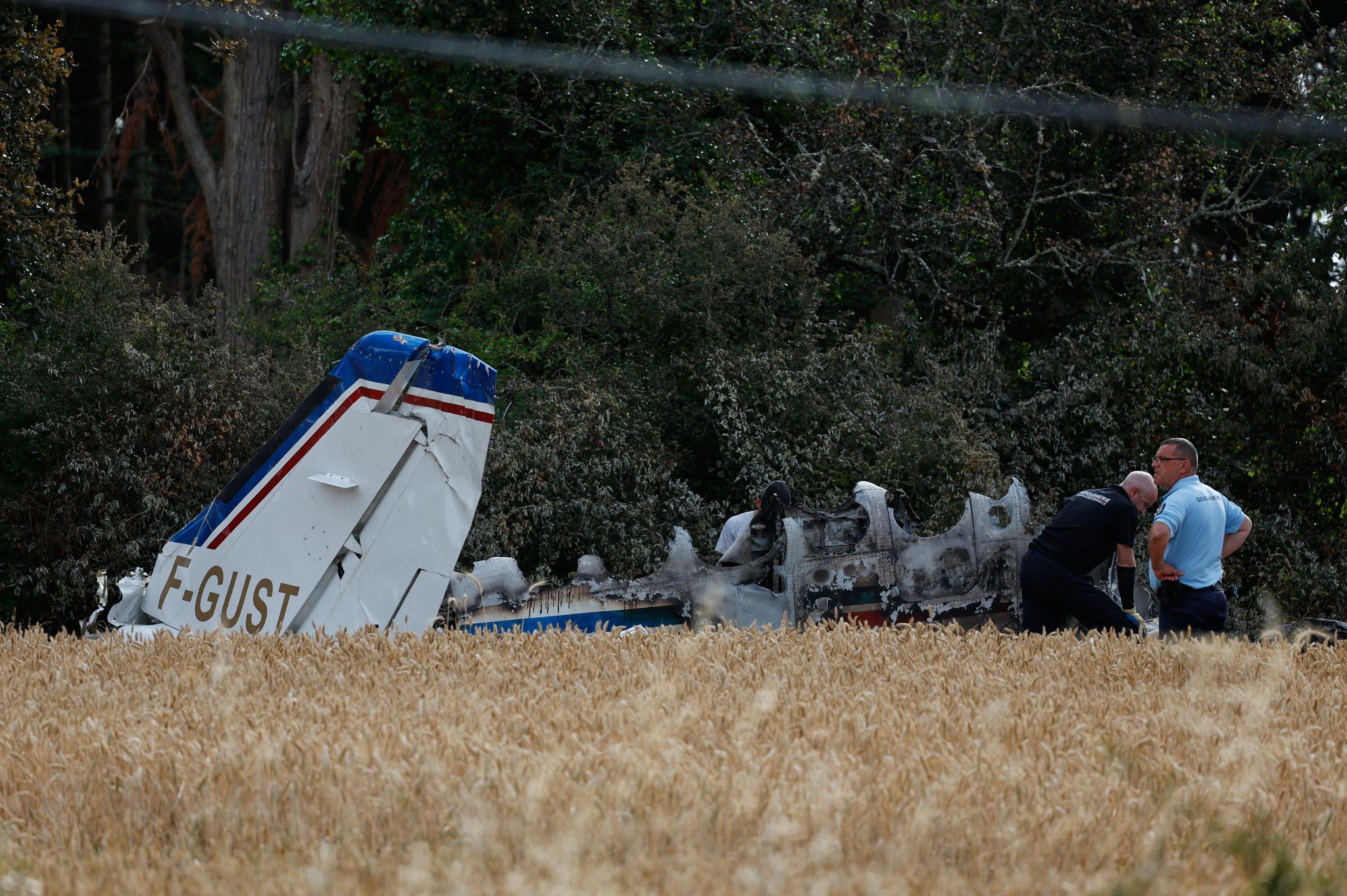 Co-founder of ‘Assassin’s Creed’ video game giant killed in plane crash