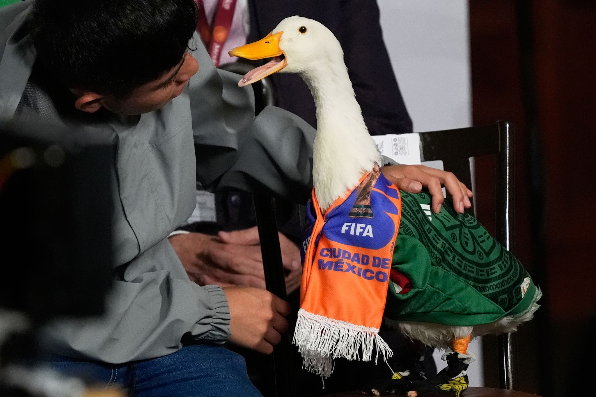 Merlín the duck takes a trip to the stadium, but FIFA rules keep him out of Mexico match