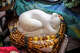A piece titled “Hadyuchka” (little snake) by artist Mykola Mukhin, father of Ukrainian jewelry artist Masha Archer in San Francisco on April 30, 2026.