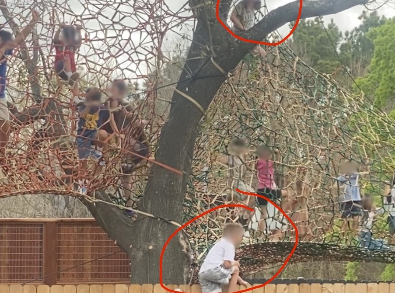 Judge refuses to delay Houston restaurant treehouse playground case