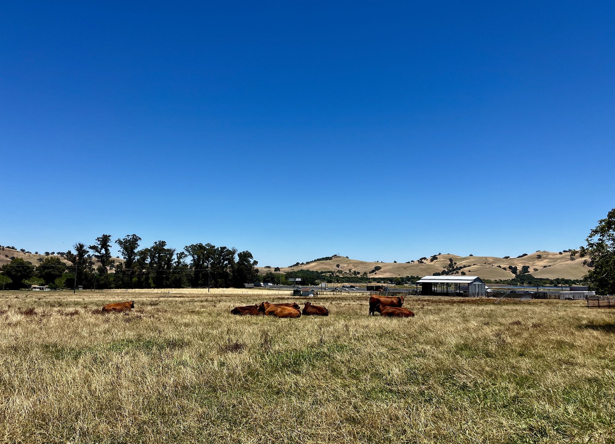 Solano Co.: 24-Hour Truck Stop Proposed For Vacaville