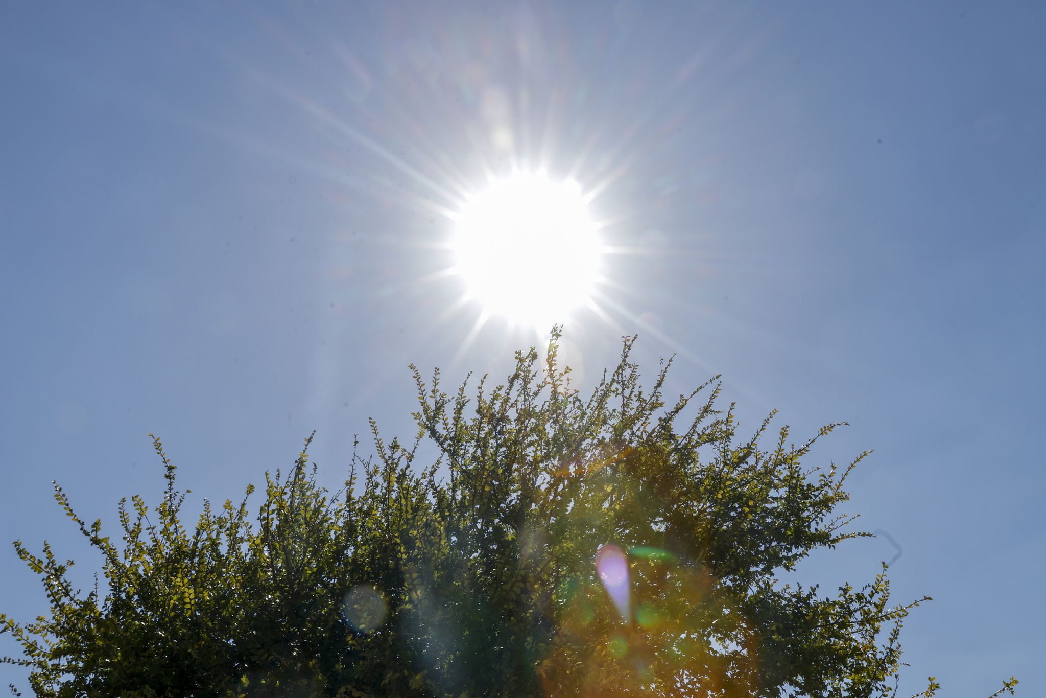 https://s.hdnux.com/photos/01/66/52/44/31107343/3/rawImage.jpg