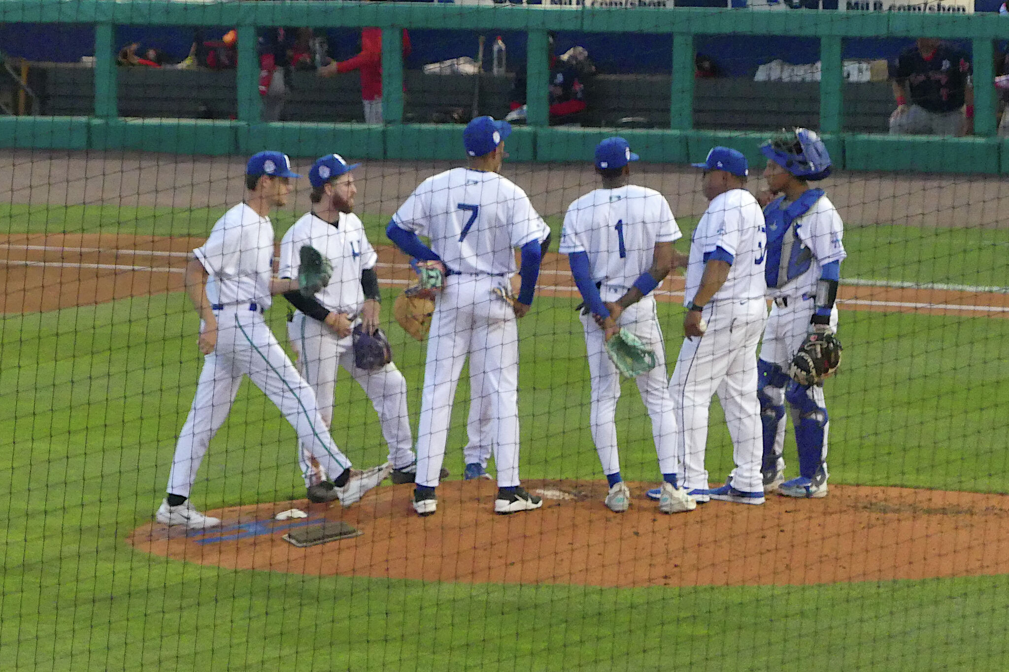 Hartford Yard Goats are postseason-bound again after winning first-half division title
