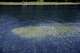 Reflecting Pool liner was cut with a sharp knife or razor, National ...