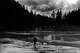 The legendary hunt for a crashed plane full of weed in Yosemite National Park