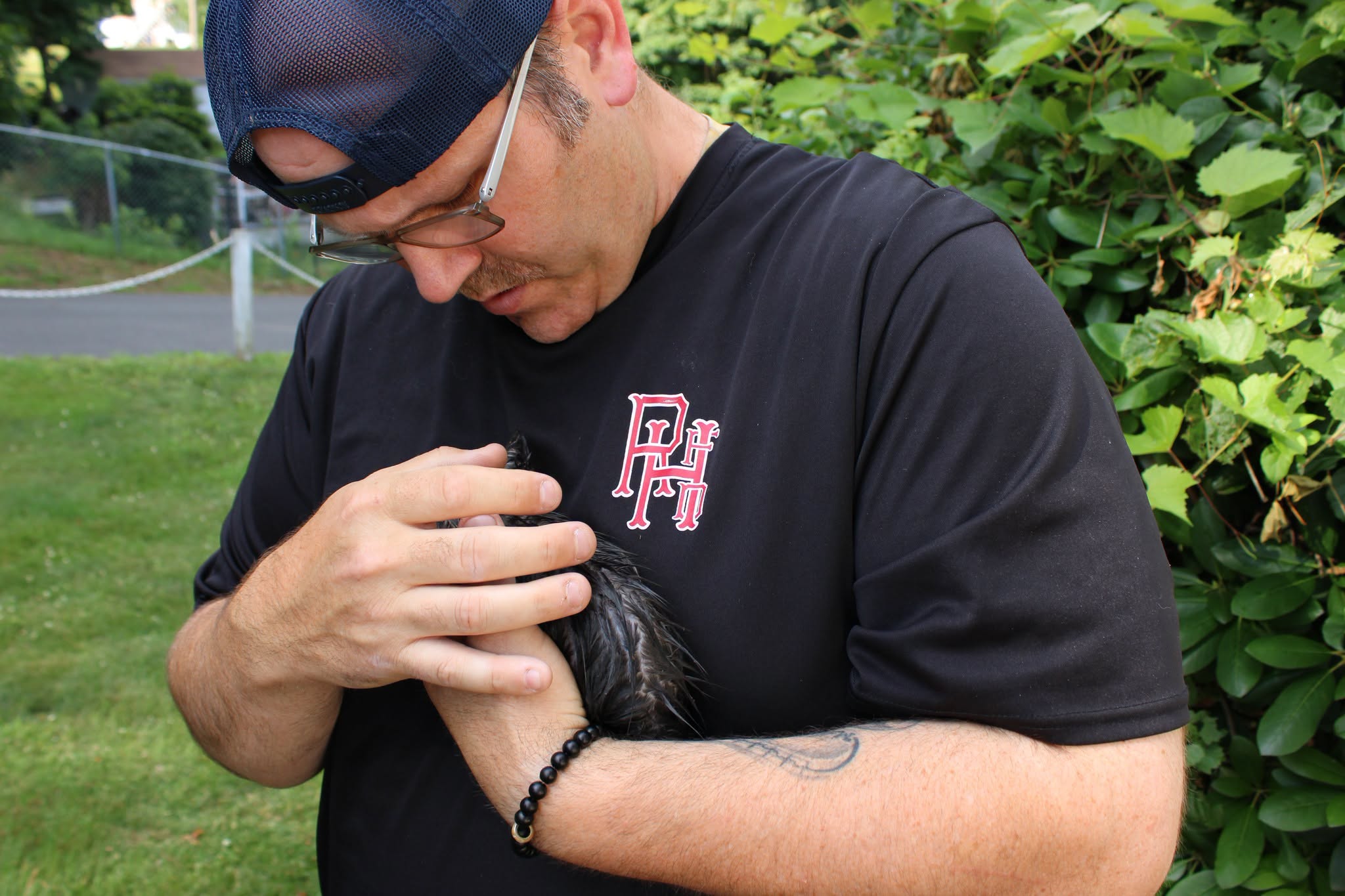 Kitten rescued after getting stuck 4 feet down pipe in CT, officials say