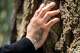 Gabriel Martinez Garcia rests his hand on a tree as his mother's name tattoo is visible on his wrist, in Tenino, Wash., on Sunday, June 14, 2026.