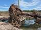 A torrent of rain caused the Guadalupe River to rise more than 26 feet in just 45 minutes last July, killing more than 130 people across several counties.