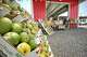 Garcia's Brothers Fruit Market sells in-season fruit and produce direct from Mexico, along with Mexican pottery, along U.S. 281 north of Edinubrg.