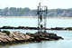 A man climbs down from a platform at the mouth of Milford Harbor as a heat wave hits the state on July 1, 2026.