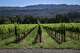 California Assembly Bill 1585 would have required that any wine produced, bottled or sold in California and labeled as “American” or from the “United States” be made from 100% U.S.-grown grapes. It was pulled just ahead of its Senate hearing.